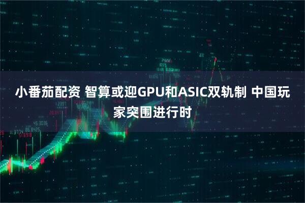 小番茄配资 智算或迎GPU和ASIC双轨制 中国玩家突围进行时