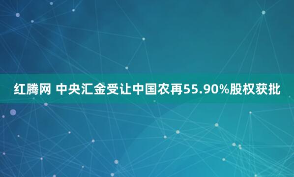 红腾网 中央汇金受让中国农再55.90%股权获批