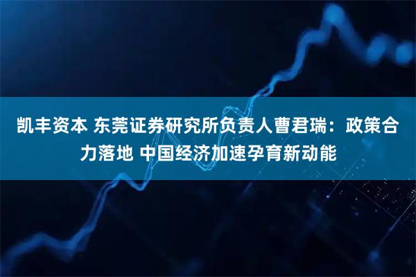 凯丰资本 东莞证券研究所负责人曹君瑞：政策合力落地 中国经济加速孕育新动能
